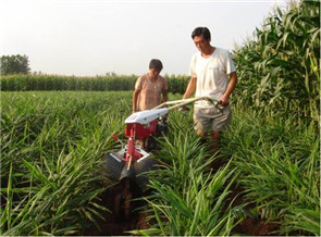 多功能大姜開溝機
