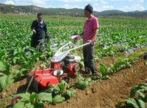 煙地開溝培土機器