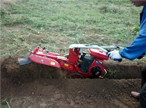 多功能大蔥培土機